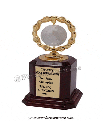 Globe Hand Shake Award WAUKN0980