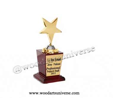 Gold Metal Star WAUKN661G