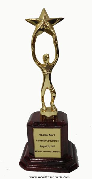 Star Trophy WAUKN633AS